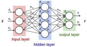 Neural Network