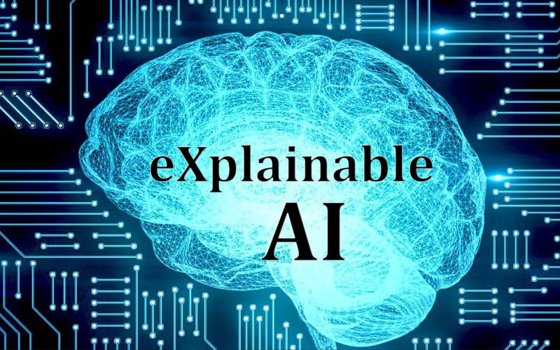 XAI in Banking Sector: Explainable Artificial Intelligence